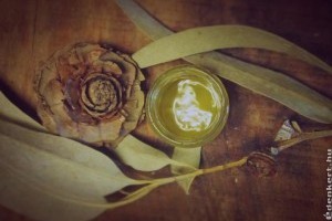 Milyen gyógyhatása van a kámforos krémnek?