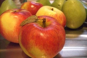 Elfelejtett gyógynövények 2. rész