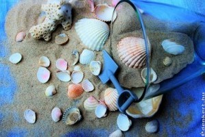 Ötletes dekorációk kagylókból!