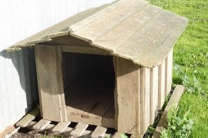 Készítsünk kutyaólat a raktárhelyiségben! - 2. rész