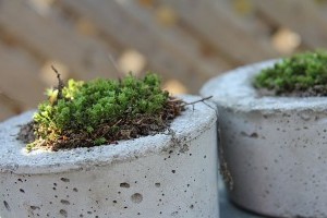 Mi mindenre jó a tőzegbeton? Virágtartó DIY