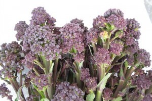 A brokkoli jobban védi a bőrt, mint a fényvédő krémek - 2. rész