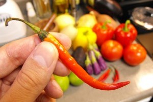 A Cayenne-i bors a fűszernövények királya