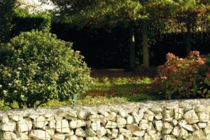 Hogyan tegyük kertünk díszévé a kerítést?