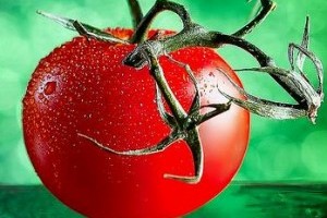 Az igazi lecsó receptje- Piaci árak