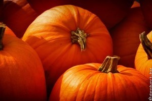 Mit tegyünk halloween után a tökökkel?