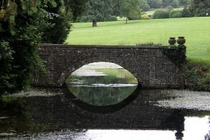 Óvjuk meg halastavunkat az őszi hulló levelektől!