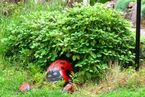 Nyári kézműves ötletek gyerekeknek