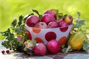 Szeptemberi tennivalók listája