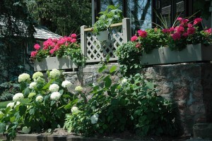 Alakítsunk ki vidéki kertet!