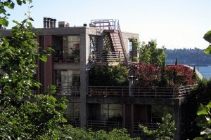 Konténerkertészet - kert a háztetőn