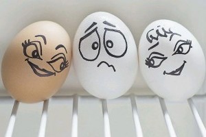 Mi lesz a tojással? - XII. Tojás Világnap