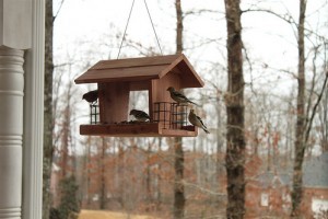 Tökéletes ajándékok kertészeknek!