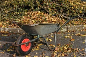 Lehullott falevelek: biztos, hogy össze kell gyűjteni?