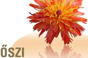 Végre itt az Őszi Kertészeti Napok 2010!