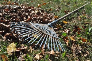 Avarégetés helyett komposztáljunk!