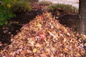 Az avarégetés egészséges alternatívái