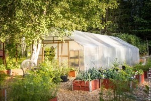 Konyhakert novemberben: mutatjuk a feladatlistát