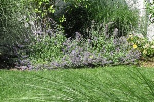 Lelki kertünk megépítése - 2. rész