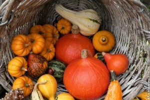 Mi mindenre jó a tök? Tökfélék és felhasználásuk