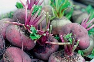 Cékla receptek - 2. rész