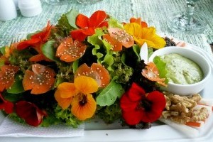 Kóstoljunk vadnövényekből készült ételeket