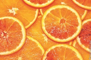 A két legnépszerűbb citrusféle: mandarin és narancs