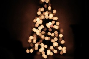 Élő- vagy műfenyőt karácsonyra?