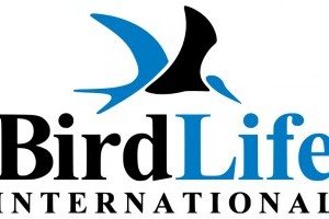 A biodiverzitás krízis kezelése