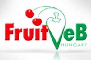 Zöldség-Gyümölcs Piac és Technológia