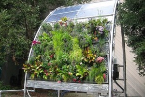 Függőleges kertészeti ötletek