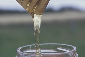 Nem lesz antibiotikumos méz a polcokon!