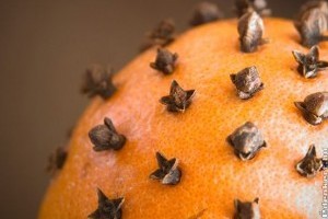 A gyógyító szegfűszeg