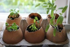 Ötletek, hogyan hasznosítsd újra a tojáshéjat