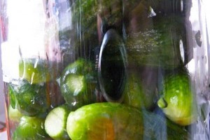 Készítsünk kovászos uborkát - piaci árak