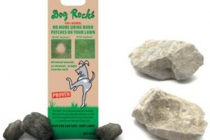 Dog Rocks kövek a gyepfoltok ellen!