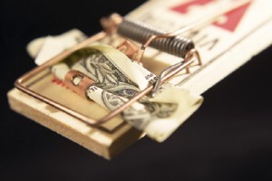 Őrizzük meg ritka növényeinket!