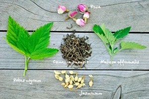 7 gyógytea, ami nem hiányozhat otthonról