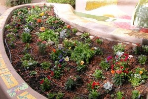 Frissen, továbbra is szabadon