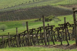 Miért fontos a sorköztakarás?