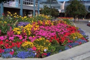 Virágzó Zugló 2011 - Kövér Lajos utca 30.