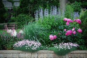 Virágzó Zugló 2011 - Telepes utca 41.