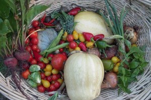 Szatyor Bevásárló Közösségek