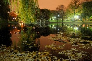 A tóápolás kalendáriuma: szeptember-december