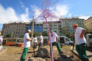 Gerillakertészek: színesből fekete-fehér