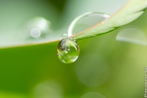 Az esővíz szűrésének fortélyai