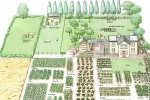 Tervezzük meg jövőbeli kertünket!