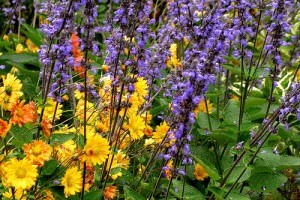 Virágzó Zugló 2011 - Újvilág utca 43-45