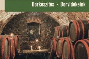 Borospincék, borkészítés, borvidékeink