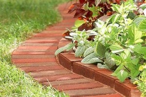 Szegélyezzük a füvet, csodákra képes!